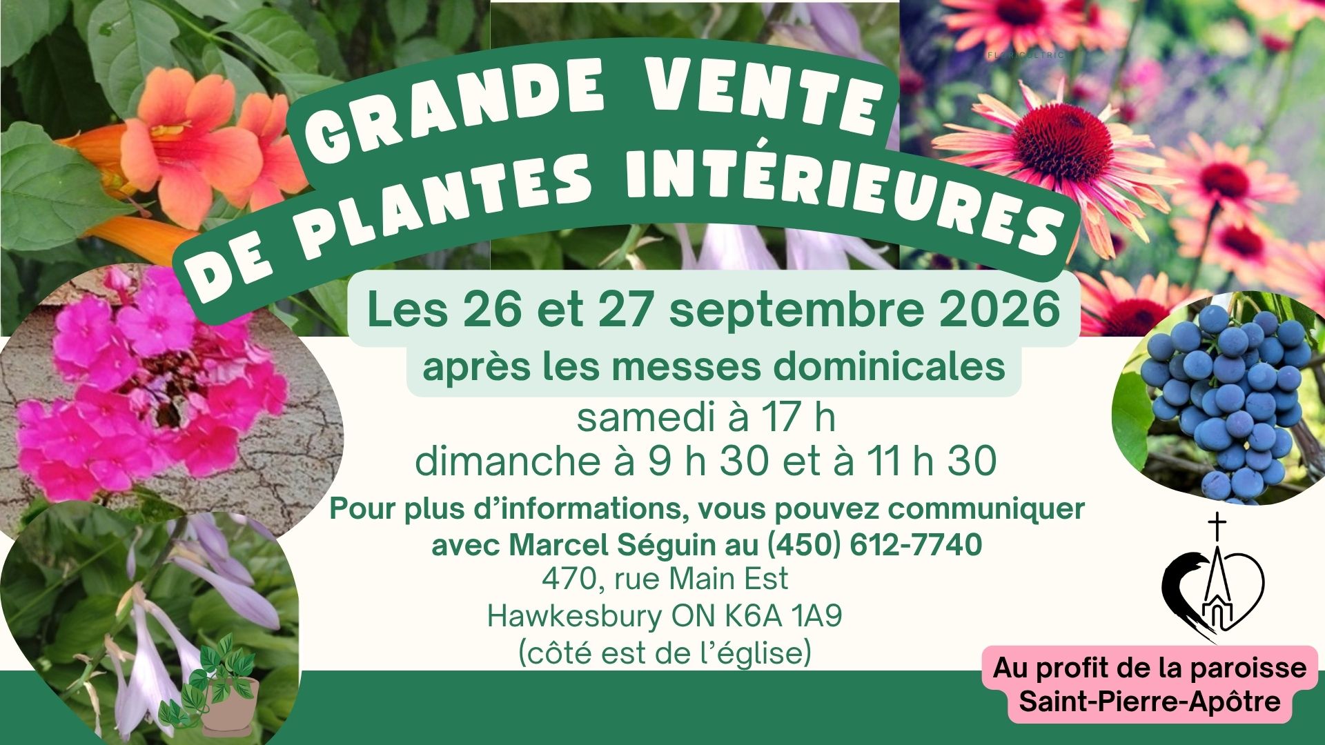 Vente de plantes intérieures